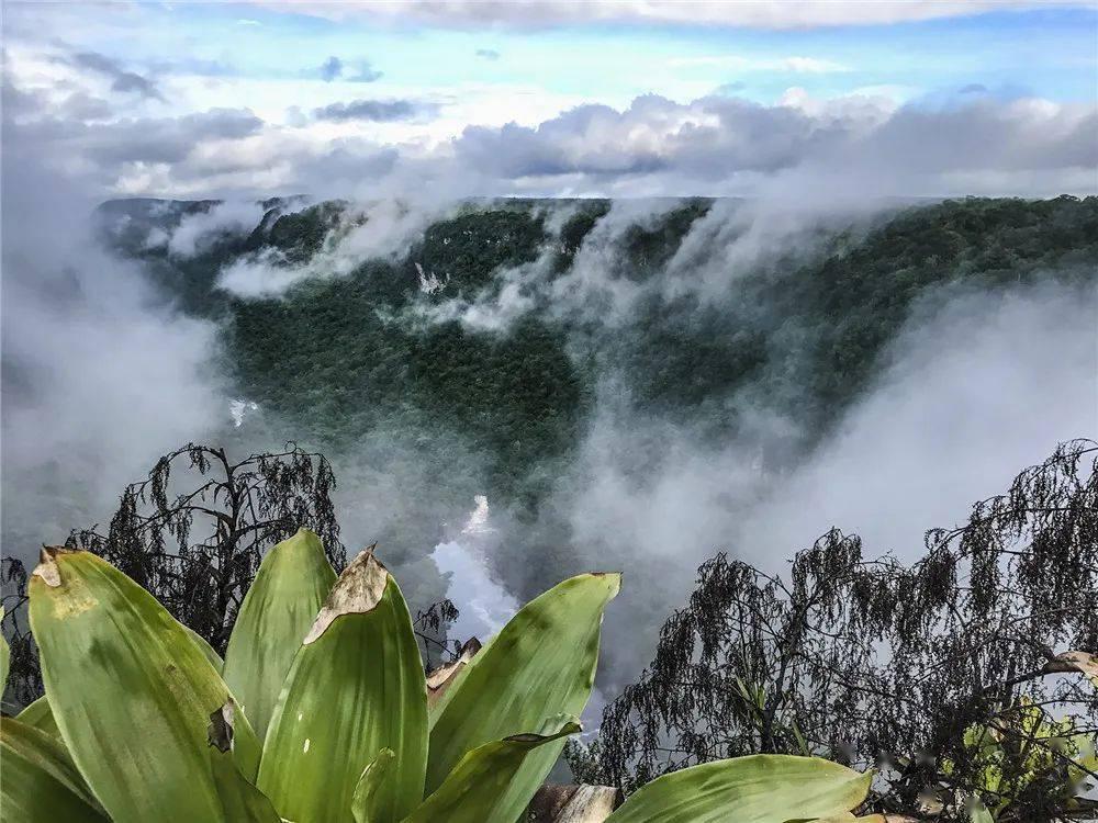 科学匹配运力 有序应对客流高峰